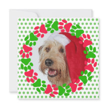 Foto de corona de huellas de patas de perro rojas 