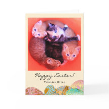 Foto de encargo Pascua feliz todos nosotros