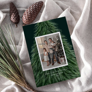Tarjeta Festiva Foto de feriado de Navidades de pinos forestales