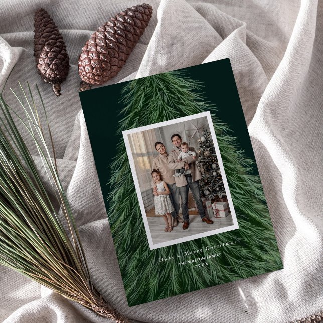 Tarjeta Festiva Foto de feriado de Navidades de pinos forestales (Subido por el creador)