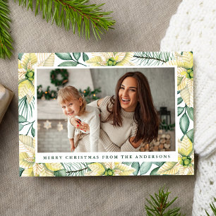Tarjeta Festiva Foto de flores de poinsettia blancas al acuarela