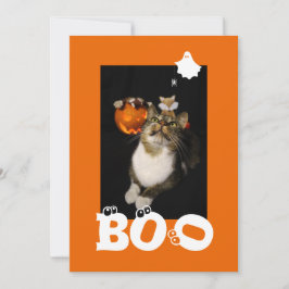 Tarjeta Festiva Foto de gato de Halloween con ojos asustados y fan