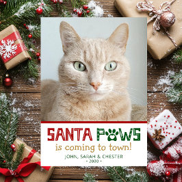 Tarjeta Festiva Foto de gato de Santa Paws