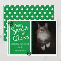 Foto de gato divertida de Santa Clawga