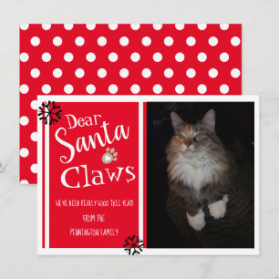Tarjeta Festiva Foto de gato divertida de Santa Claws