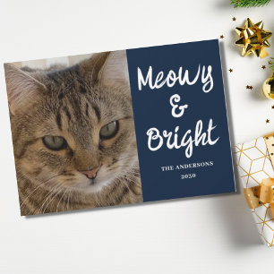 Tarjeta Festiva Foto de gato: Navidades malhumorados y brillantes