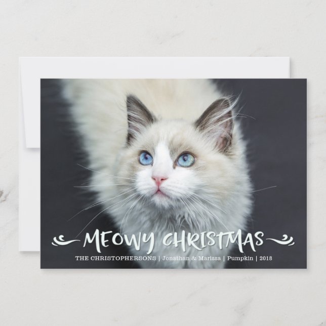 Tarjeta Festiva Foto de gato | Navidades Meowy (Anverso)