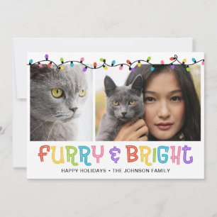 Tarjeta Festiva Foto de gato peludo y brillante