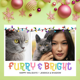 Tarjeta Festiva Foto de gato peludo y brillante