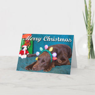 Tarjeta Festiva Foto de labrador chocolate con disfraz y texto per