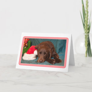 Tarjeta Festiva Foto de Labrador de Chocolate Dormido con Sombrero
