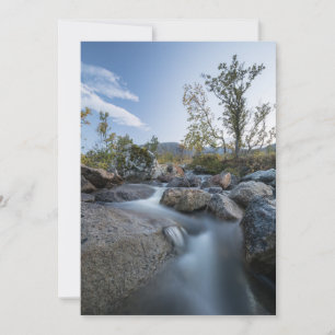 Tarjeta Festiva Foto de Little Stream Nature