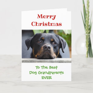 Tarjeta Festiva Foto de los abuelos del perro mejor perro de los n