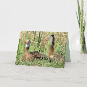 Tarjeta Festiva Foto de los Patos de Silbato de Pelo Negro Cumplea