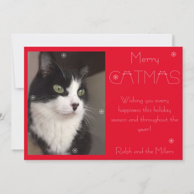 Tarjeta Festiva Foto de Mascota de Gato de Melón Rojo (Anverso)