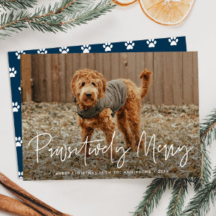 Tarjeta Festiva Foto de mascota naval absolutamente alegre de Navi