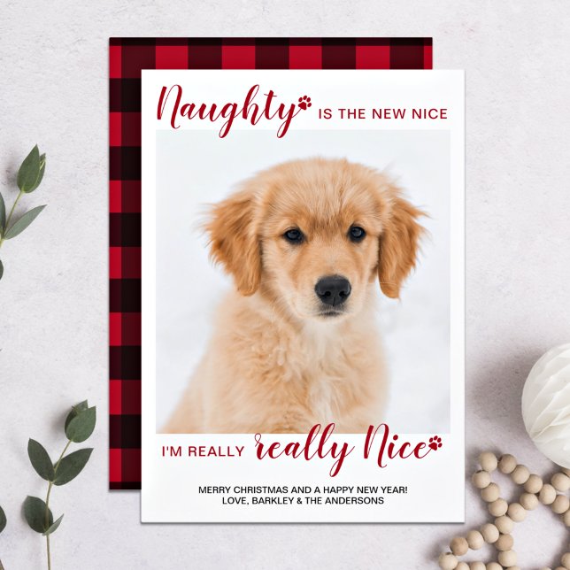 Tarjeta Festiva Foto de Mascota personalizado Naught Naught Búfalo (Subido por el creador)