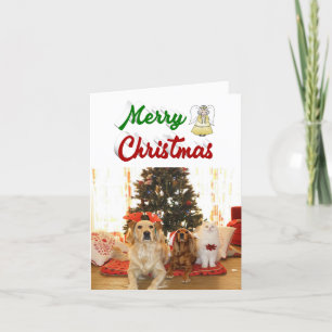 Tarjeta Festiva Foto de Merry Christmas Angel de escritura verde r