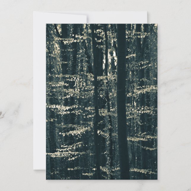 Tarjeta Festiva Foto de naturaleza de bosque de hayas (Anverso)