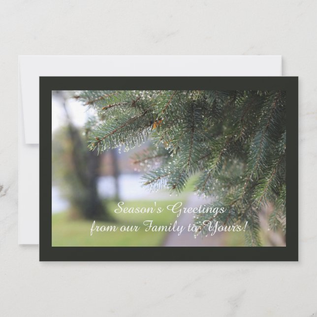 Tarjeta Festiva Foto de Naturaleza de Paisaje Perenne Personalizad (Anverso)