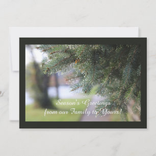 Tarjeta Festiva Foto de Naturaleza de Paisaje Perenne Personalizad