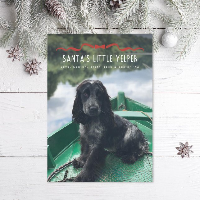 Tarjeta Festiva Foto de Navidades de perros pequeños Yelper de San (Subido por el creador)