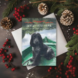 Tarjeta Festiva Foto de Navidades de perros pequeños Yelper de San<br><div class="desc">Navidades divertidos Doggy pun; perfecto para tu cachorro; elige un trozo y un tipo de papel,  agrega un mensaje o más fotos al fondo si lo deseas.</div>