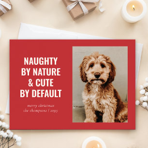 Tarjeta Festiva Foto de Navidades de perros traviesos y graciosos