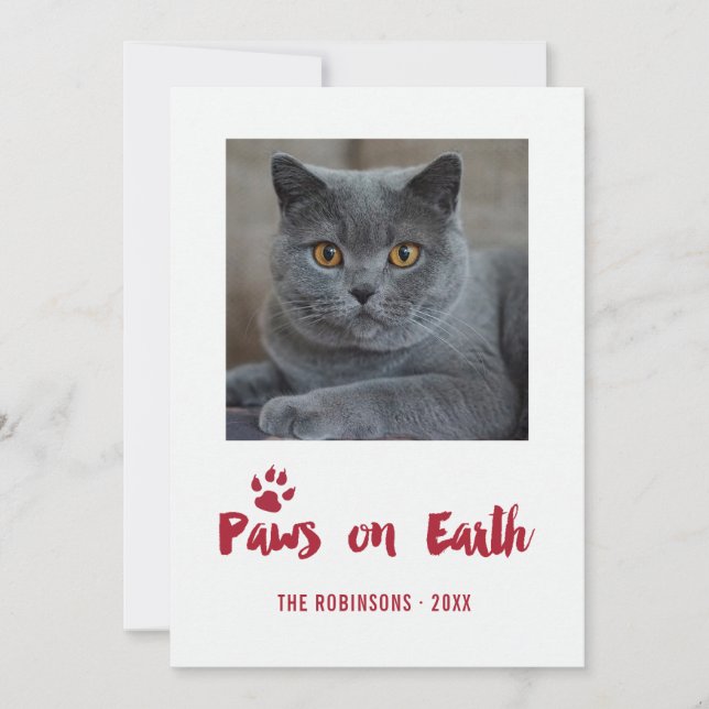 Tarjeta Festiva Foto de Navidades Mascotas de moda (Anverso)