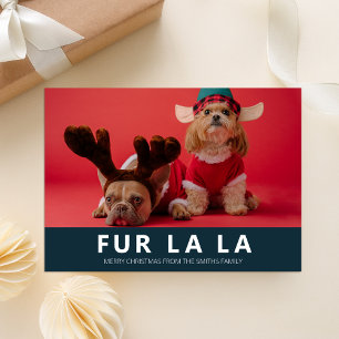 Tarjeta Festiva Foto de Navidades Mascotas modernos de Fur La La B