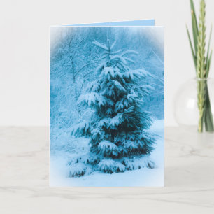 Tarjeta Festiva Foto de Nochebuena de Abeto Azul 