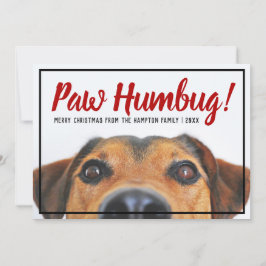 Tarjeta Festiva Foto de perro Bah Humbug Navidades Mascota