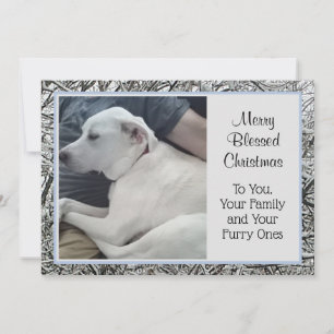 Tarjeta Festiva Foto de perro blanco con Navidades de nieve de inv
