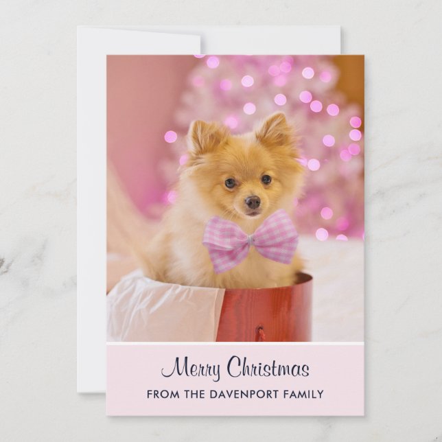 Tarjeta Festiva Foto de perro de Navidades pequeños con árbol y re (Anverso)