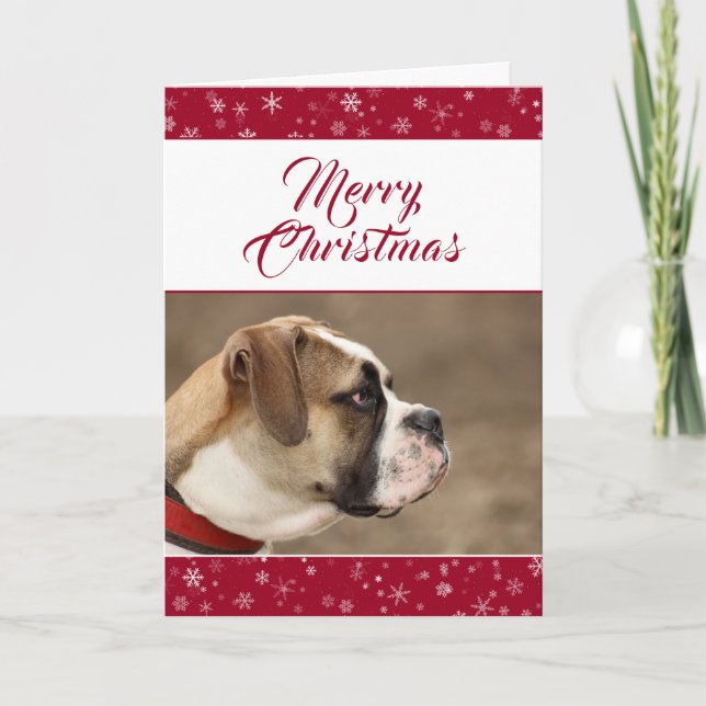 Tarjeta Festiva Foto de perro de vacaciones de Navidades de copos  (Anverso)