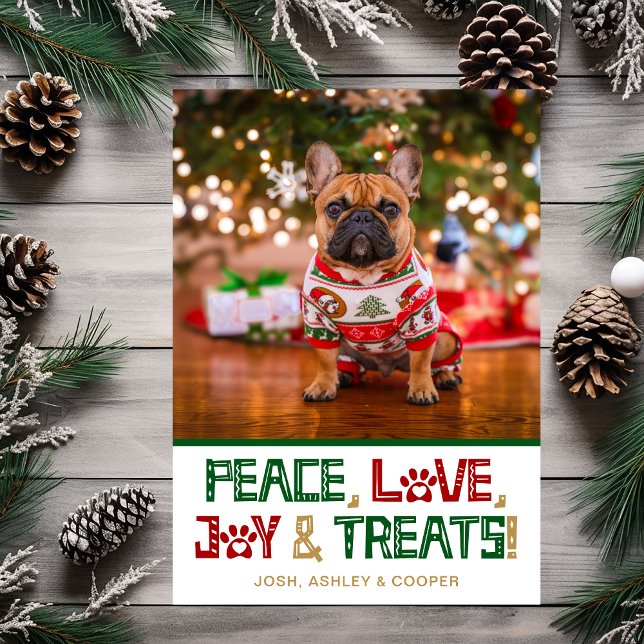Tarjeta Festiva Foto de Perro Divertida (Subido por el creador)