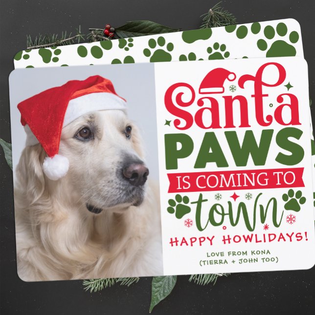 Tarjeta Festiva Foto de perro graciosa de Personalizado de fotos d (Subido por el creador)