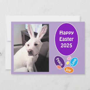 Tarjeta Festiva Foto de perro lindo llevando huevos de pascua de c
