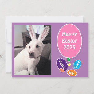 Tarjeta Festiva Foto de perro lindo llevando huevos de pascua de c