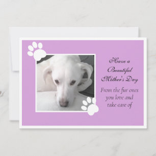 Tarjeta Festiva Foto de perro lindo marco de pata día de la madre