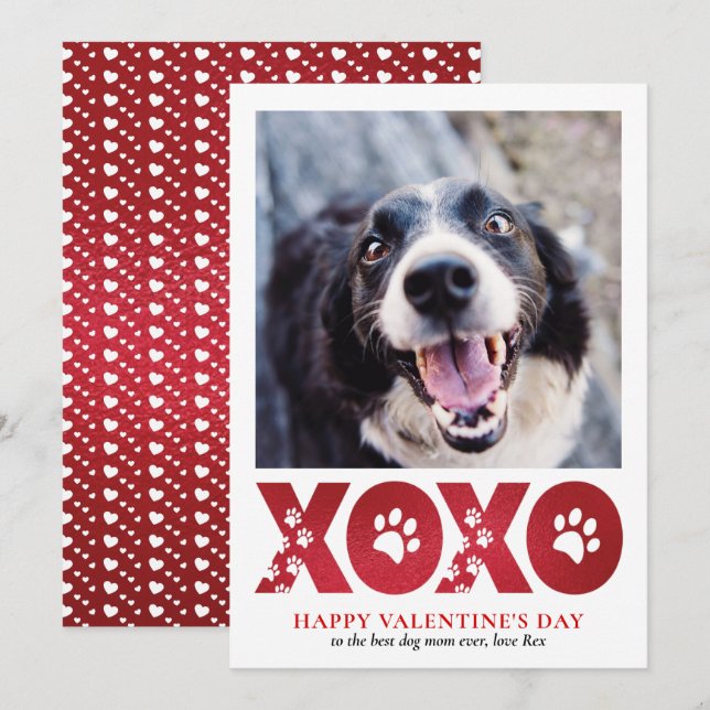 Tarjeta Festiva Foto de perro Mascota día de San Valentín XOXO (Anverso / Reverso)