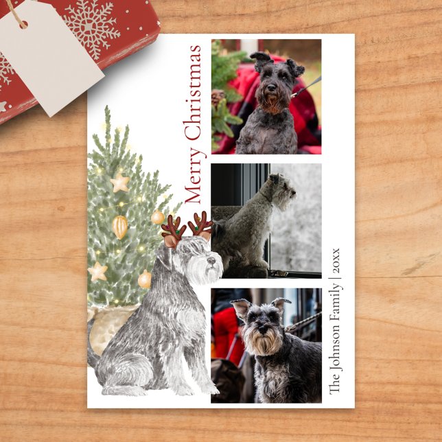 Tarjeta Festiva Foto de perro Mascota Schnauzer y Christmas Tree (Subido por el creador)
