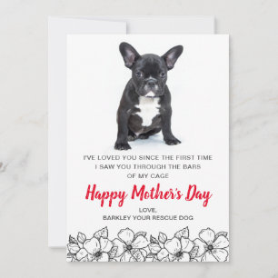 Tarjeta Festiva Foto de perro personalizado del día de la madre de