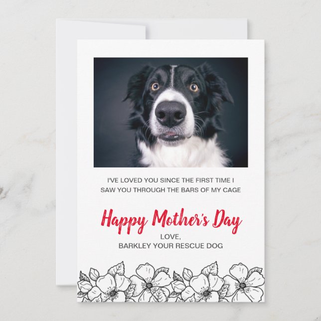 Tarjeta Festiva Foto de perro Personalizado del Día de la Madre de (Anverso)