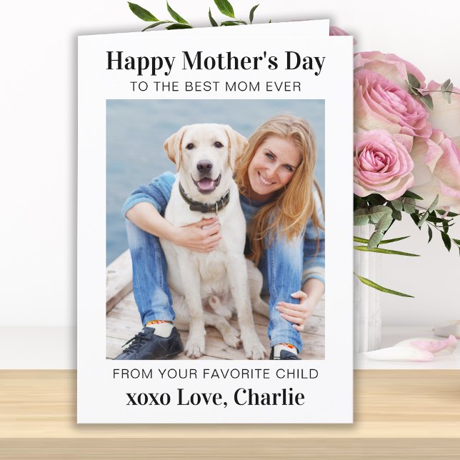 Tarjeta Festiva Foto de Personalizado de perro Mascota simple de l (Subido por el creador)