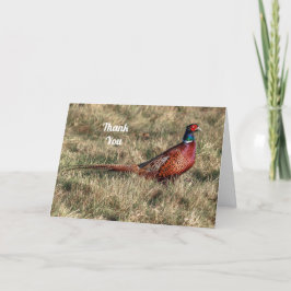Tarjeta Festiva Foto de Pheasant Gracias