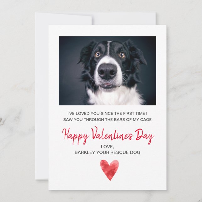 Tarjeta Festiva Foto De San Valentín Del Perro (Anverso)
