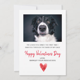 Tarjeta Festiva Foto De San Valentín Del Perro