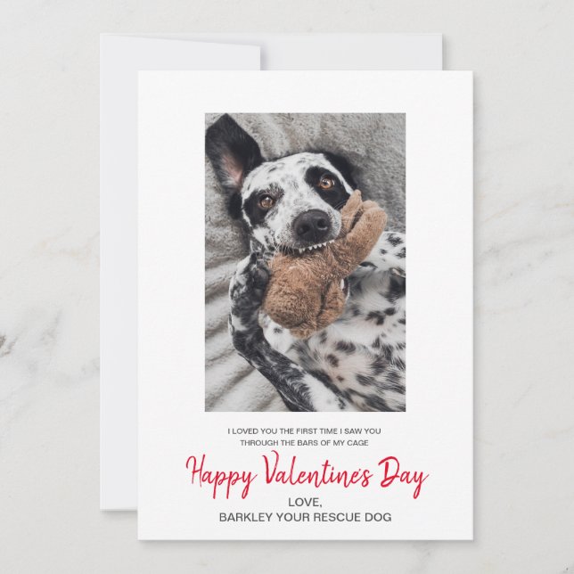 Tarjeta Festiva Foto De San Valentín Del Perro (Anverso)