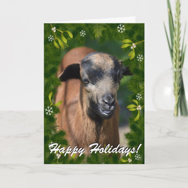 TARJETA FESTIVA FOTO DE TUS CABALLOS EN ESTE MARCO DE BARRIO Y MAL (Anverso)